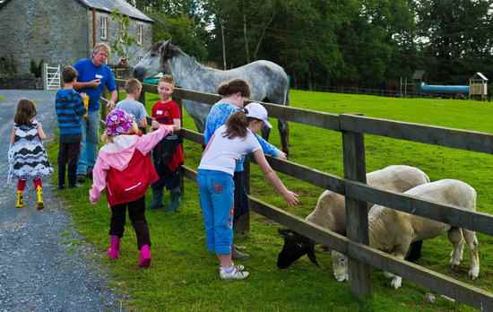 Tullyboy Farm